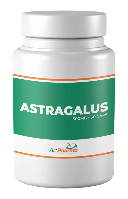 Astragalus 500mg