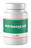 Astragalus 500mg